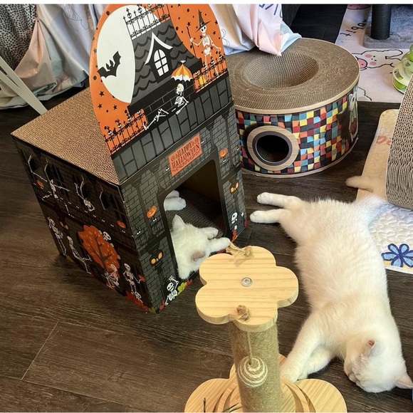 NWT Hyde & Eek Halloween Double Deck Skeleton Park Cat Scratcher - Picture 6 of 7